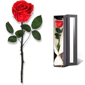 Preserved Rose, Preserved Flowers for Delivery Prime, Single Rose Flower Gifts
